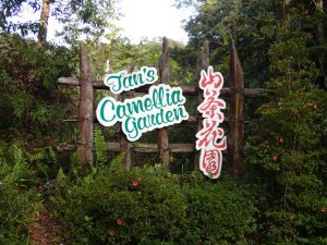 Gunung Jasar by mchiker