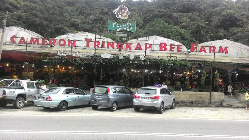 Cameron Tringkap Bee Farm by Leong Chee Kin Leong