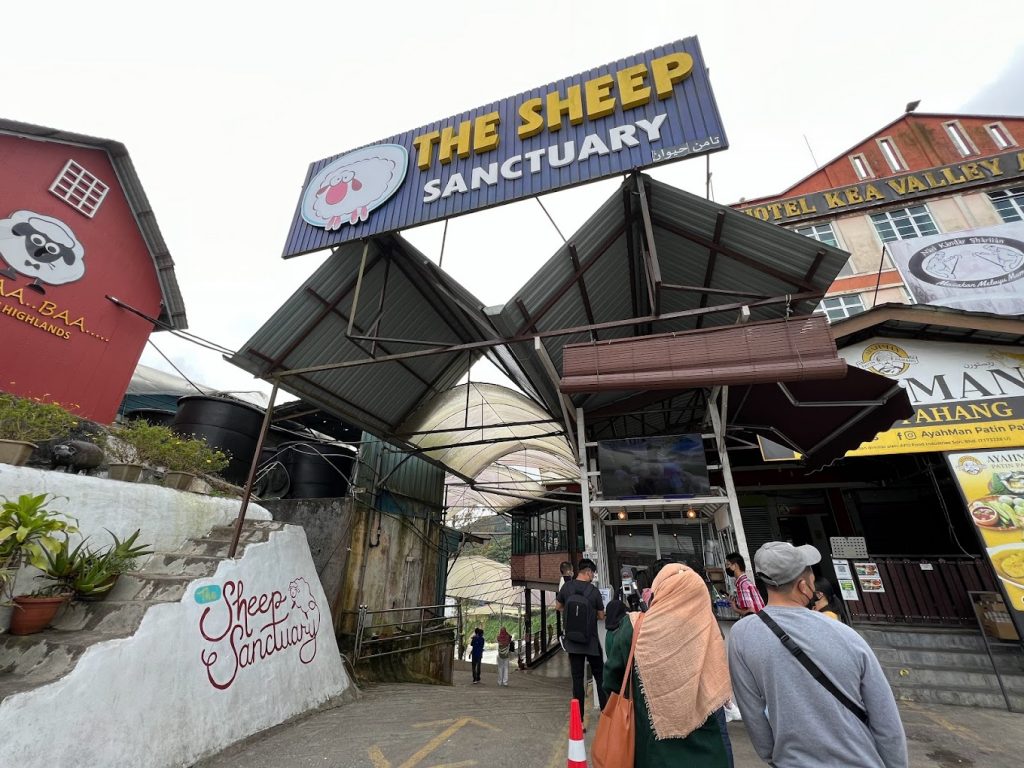 The Sheep Sanctuary by Syazwan Shafiq