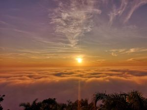 Bukit Seladang By Tamannegaratravel.com