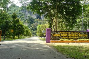 Gua Senyum by Pahang Tourism