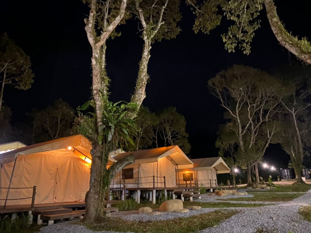 Canopy Villa