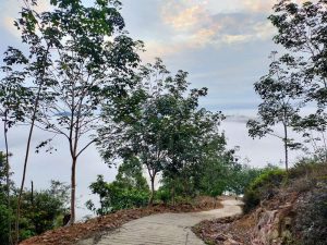 Bukit Seladang By Tamannegaratravel.com